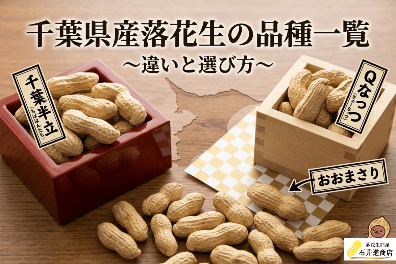 千葉県産落花生の品種一覧｜千葉半立・Qなっつ・おおまさりの違いと選び方