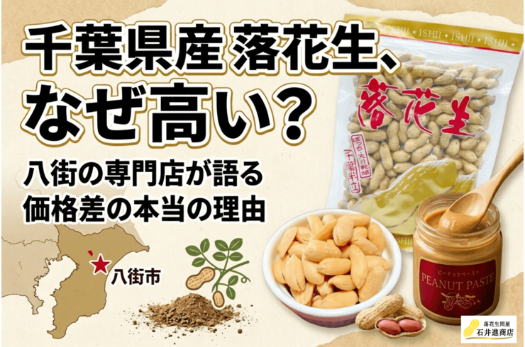 千葉県の落花生はなぜ高い？八街の専門店が価格差と味の違いを解説