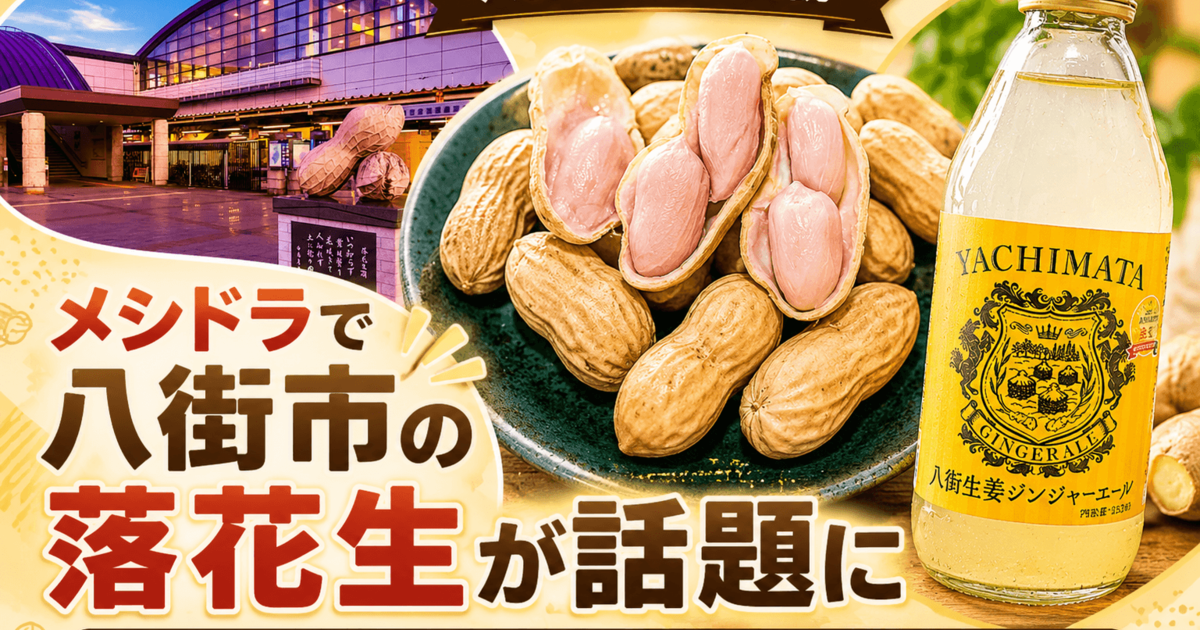 メシドラで八街市の落花生が話題に｜おおまさりネオ・Qなっつ・千葉