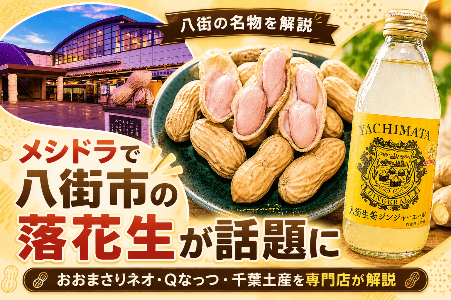 メシドラで八街市の落花生が話題に｜おおまさりネオ・Qなっつ・千葉