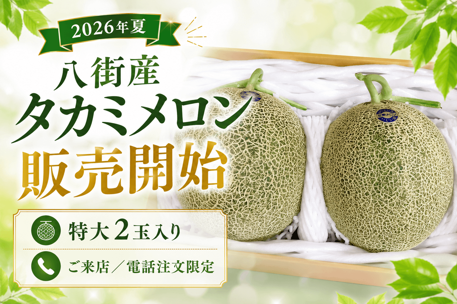 【2026年夏】八街産タカミメロン販売開始｜2玉入り・ご来店/電話注文限定