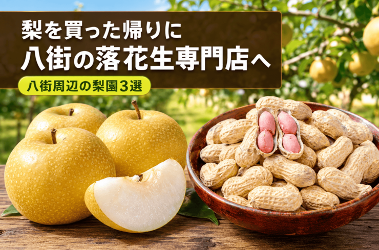 千葉県で梨を買った帰りに寄りたい落花生専門店｜八街周辺の梨園3選