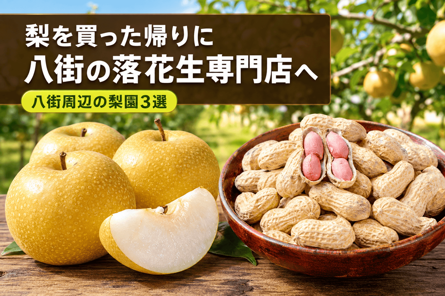 千葉県で梨を買った帰りに寄りたい落花生専門店｜八街周辺の梨園3選