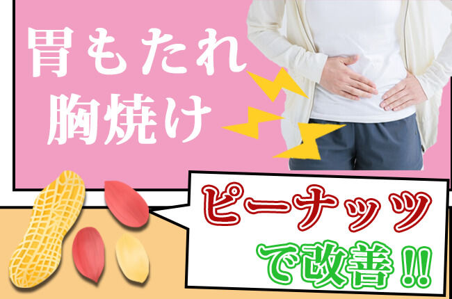 ピーナツで胃もたれ・胸焼けを改善！秘密は豊富なオレイン酸にあり！