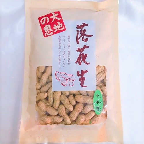 中手豊