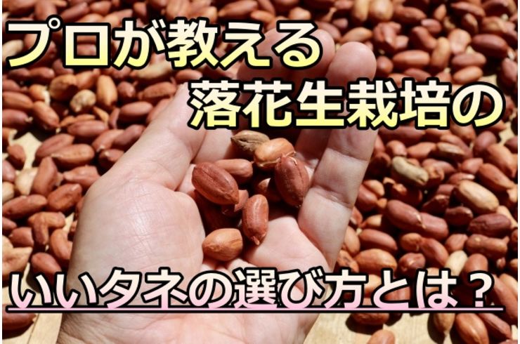 たね