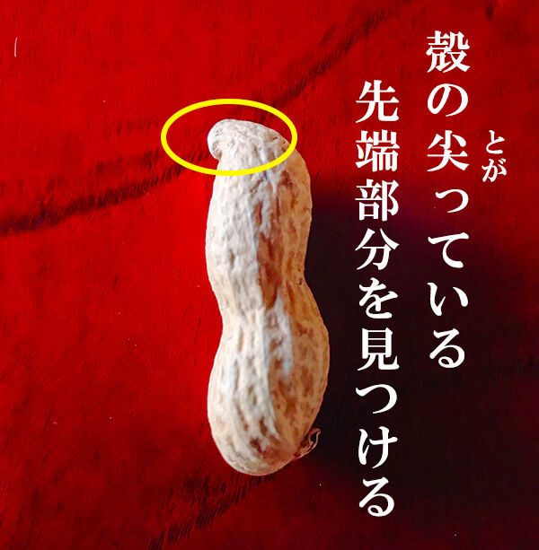 落花生の殻の割り方