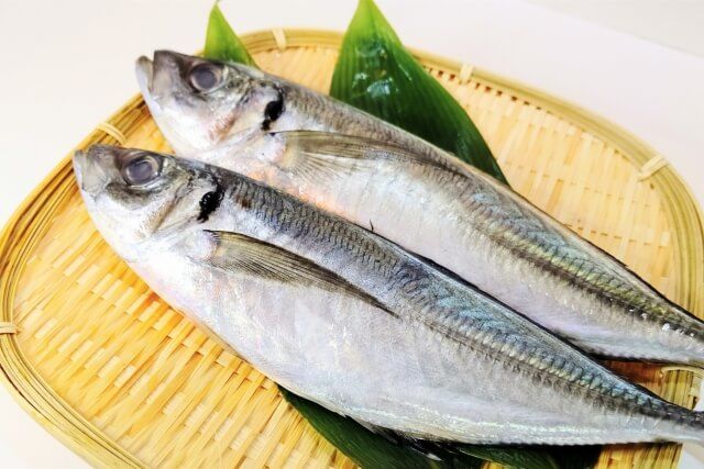 青魚.jpg