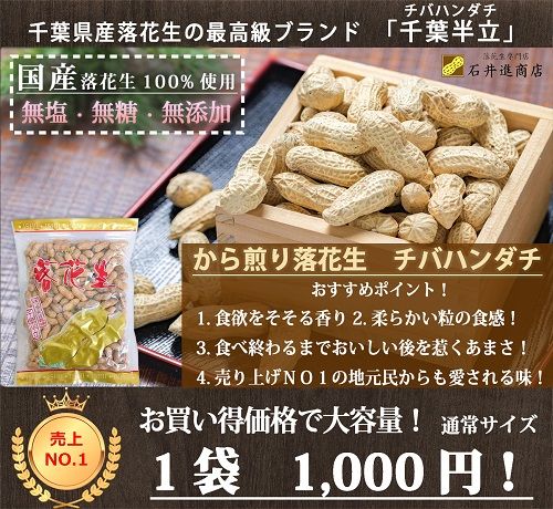 千葉半立の新豆落花生販売開始しました【2022年新ピーナッツ】