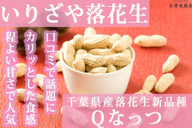 落花生　Ｑなっつ　済.jpg