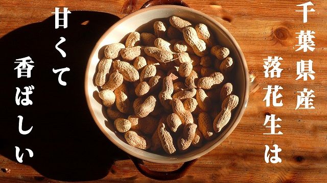 千葉落花生　640.jpg