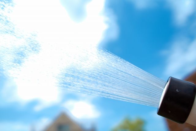 落花生の種まき後に水をやりすぎないための注意点
