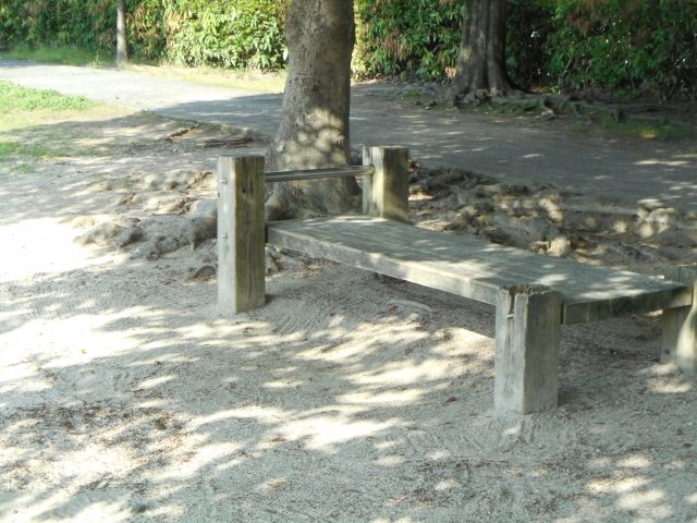 落花生を日陰ではなく日なたで育てる重要性を説明する画像