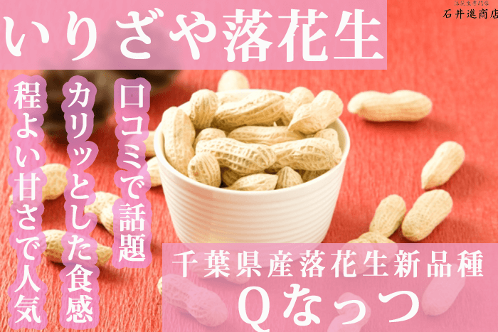 落花生　Ｑなっつ700.png