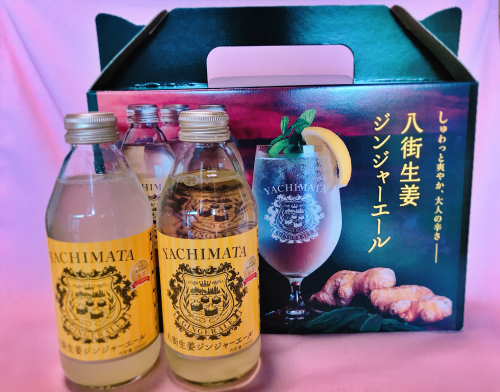 八街生姜ジンジャーエール 4本入り 10本入りセット