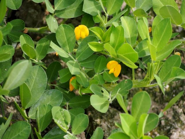 cbaa54dcdb217eb5b29d5c37cb3f..