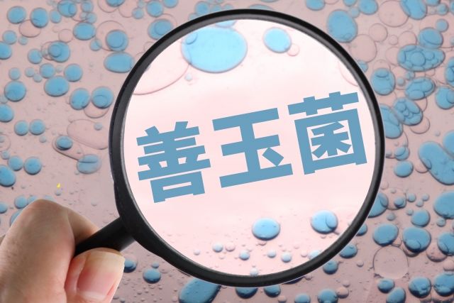 善玉菌.jpg