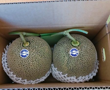 melonm.JPG