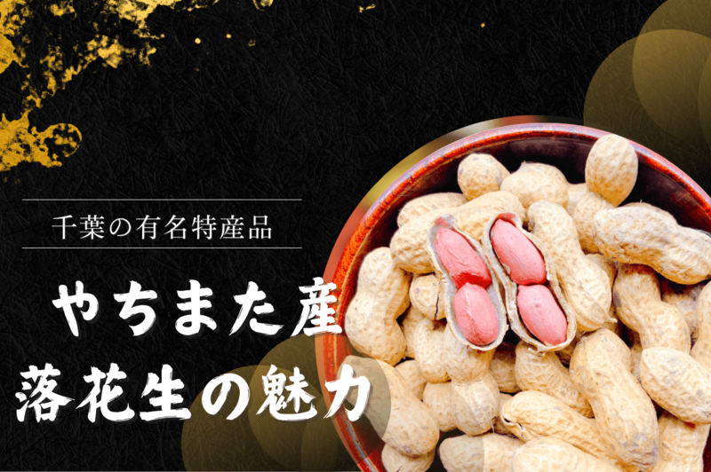 八街産落花生の魅力サムネ (12..