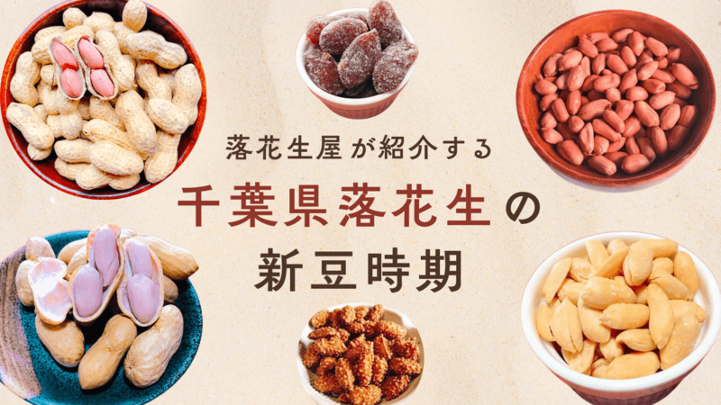 千葉県産落花生の新豆時期 (Yo..