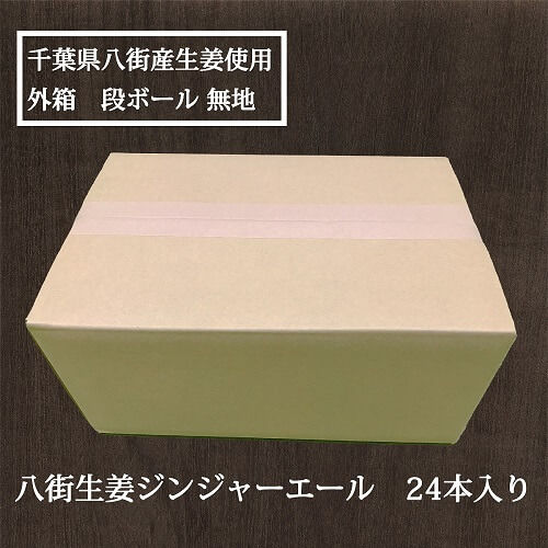 ジンジャーエール24本紹介写真..