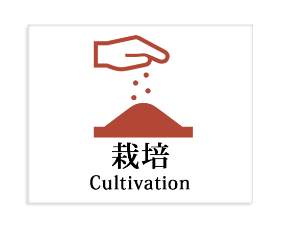 カテゴリー：栽培.png