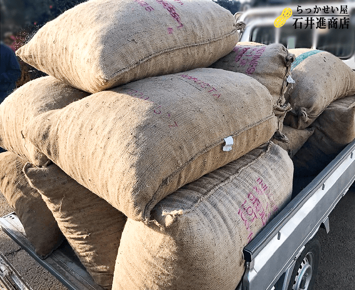 落花生を南京袋に詰める工程（どざや）