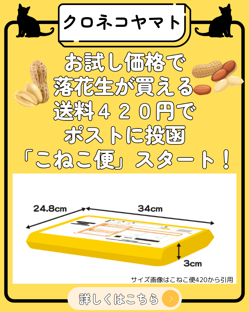 こねこ便サービスの紹介画像