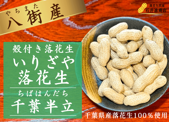 いりざや落花生 千葉半立 チバハンダチ イメージ画像