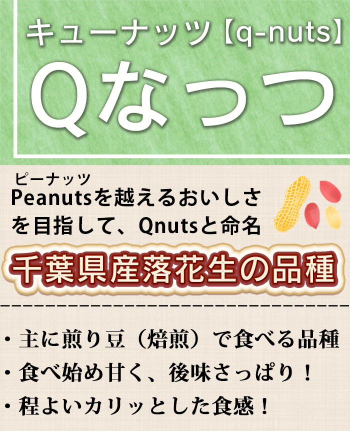 Qなっつの見た目と特徴