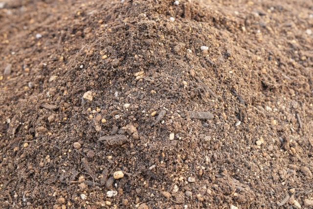 周辺畑から害虫が移動する可能性がある落花生畑のイメージ