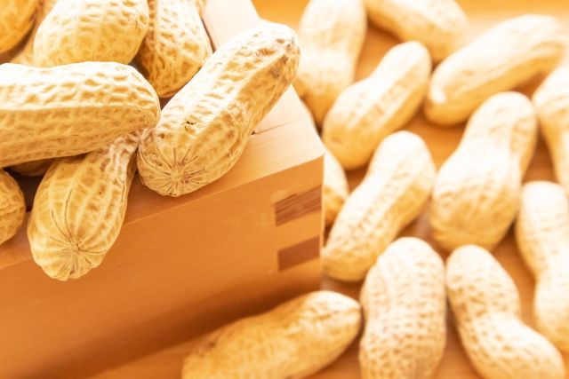 収穫後に味わう千葉県産落花生のイメージ