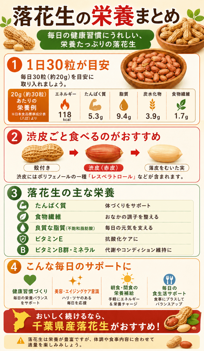 落花生に含まれる主な栄養成分のまとめ